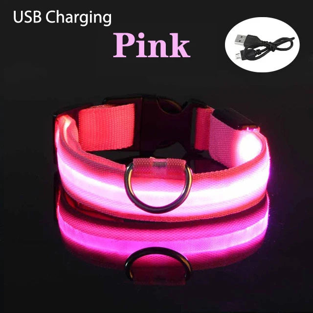 TOUA Choice XS/M Dog Collar USB Rechargeable Light Up LED Collar Lights Adjustable Soft Safety Night Light Flashing Pet Supplies